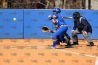 UNH_Softball_vs_SaintAnselm_20210321_CS1_6024.jpg 03/21/2021 - New Haven Softball vs Saint Anselm 
