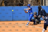 UNH_Softball_vs_SaintAnselm_20210321_CS1_6037.jpg 03/21/2021 - New Haven Softball vs Saint Anselm 