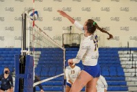 UNHVBall_vs_SCSU_20210408_DSC00485.jpg 04/08/2021- New Haven Volleyball vs SCSU Charger Gymnasium,Chargers,Clarus Studios,DII,Football,NCAA,New England,New Haven,New Haven Chargers,SCSU,Senior Day,UNH,University of New Haven,