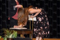 TMHS_NHS_Inductions_20210517_CS1_6396.jpg 05/17/2021 - TMHS National Honor Society Induction 