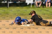 NewHaven_vs_Adelphi_NCAA-Regional_20210520_CS1_0009.jpg 05/20/2021 - New Haven Softball vs Adelphi - NCAA East Regional Clarus Studios,Division II,Georgian Court,NCAA,New England,New Haven,Softball,