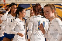UNHVolleyball_vs_StRose_20210924_CS1_7662.jpg 09/24/2021 - New Haven Volleyball vs Saint Rose Charger Gymnasium,Chargers,Clarus Studios,DII,NCAA,New England,New Haven,New Haven Chargers,Saint Rose,UNH,University of New Haven,