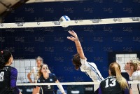 ConnCollWVBall_vs_Amherst_20211008_CS1_4254.jpg 10/08/2021 - Conn College Womens Volleyball vs Amherst Amherst College,Clarus Studios,Conn College,DIII,NCAA,NESCAC,New England,Volleyball,Women's Volleyball,