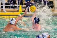 ConnCollegeMensWPOLO_vs_JHopkins_20211023_CS1_0116.jpg 10/23/2021 - Conn College Men's Water Polo vs Johns Hopkins  