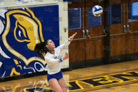 UNHVBall_vs_Bentley_20211113_CS1_7765.jpg 11/13/2021 - New Haven Volleyball vs Bentley - Senior Day Bentley,Charger Gymnasium,Chargers,Clarus Studios,Connecticut,Falcons,New England,New Haven,Northeast 10,Volleyball,West Haven,Womens Volleyball,
