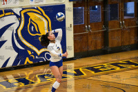 UNHVBall_vs_Bentley_20211113_CS1_7764.jpg 11/13/2021 - New Haven Volleyball vs Bentley - Senior Day Bentley,Charger Gymnasium,Chargers,Clarus Studios,Connecticut,Falcons,New England,New Haven,Northeast 10,Volleyball,West Haven,Womens Volleyball,