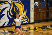 UNHVBall_vs_Bentley_20211113_CS1_7769.jpg 11/13/2021 - New Haven Volleyball vs Bentley - Senior Day Bentley,Charger Gymnasium,Chargers,Clarus Studios,Connecticut,Falcons,New England,New Haven,Northeast 10,Volleyball,West Haven,Womens Volleyball,