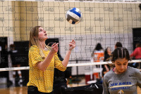 NewHavenVBall_vs_HolyFamily_20211202_CS1_5159.jpg 12/02/2021 - New Haven Women's Volleyball vs Holy Family - NCAA DII Regional 1st Round Clarus Studios,DII,NCAA Chargers,NCAA Regional,NE10,New England,New Haven,New Haven Chargers,Northeast10,UNH,University of New Haven,Volleyball Championship,