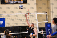 NewHavenVBall_vs_HolyFamily_20211202_CS1_5172.jpg 12/02/2021 - New Haven Women's Volleyball vs Holy Family - NCAA DII Regional 1st Round Clarus Studios,DII,NCAA Chargers,NCAA Regional,NE10,New England,New Haven,New Haven Chargers,Northeast10,UNH,University of New Haven,Volleyball Championship,