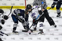AmherstWHcky_vs_Middlebury_20211203_CS1_6749.jpg 12/03/2021 - Amherst Womens Hockey vs Middlebury Amherst,Amherst College,Amherst Mammoths,Clarus Studios,DIII,Mammoths,Massachusetts,Middlebury,NESCAC,New England,Orr Rink,