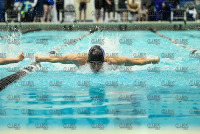 NE10SwimChamps_Bentley_20220219_CS3_0491.jpg Northeast 10 Swimming Championships Day 3 Adelphi,Adelphi Panthers,Assumption,Assumption Greyhounds,Clarus Studios,DII,New England,