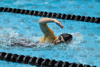 NE10SwimChamps_Bentley_20220219_CS3_0806.jpg Northeast 10 Swimming Championships Day 3 Adelphi,Adelphi Panthers,Assumption,Assumption Greyhounds,Clarus Studios,DII,New England,