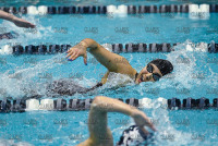 NE10SwimChamps_Bentley_20220219_CS3_0757.jpg Northeast 10 Swimming Championships Day 3 Adelphi,Adelphi Panthers,Assumption,Assumption Greyhounds,Clarus Studios,DII,New England,