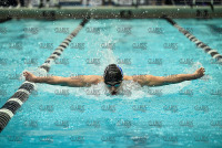 NE10SwimChamps_Bentley_20220219_CS3_0014.jpg Northeast 10 Swimming Championships Day 3 Adelphi,Adelphi Panthers,Assumption,Assumption Greyhounds,Clarus Studios,DII,New England,