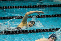 NE10SwimChamps_Bentley_20220219_CS3_0782.jpg Northeast 10 Swimming Championships Day 3 Adelphi,Adelphi Panthers,Assumption,Assumption Greyhounds,Clarus Studios,DII,New England,