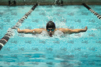 NE10SwimChamps_Bentley_20220219_CS3_0009.jpg Northeast 10 Swimming Championships Day 3 Adelphi,Adelphi Panthers,Assumption,Assumption Greyhounds,Clarus Studios,DII,New England,