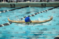 NE10SwimChamps_Assumption_20220219_CS3_0224.jpg Northeast 10 Swimming Championships Day 3 Adelphi,Adelphi Panthers,Assumption,Assumption Greyhounds,Clarus Studios,DII,New England,