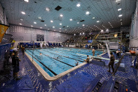 NE10SwimChamps_Assumption_20220219_CM2_1089.jpg Northeast 10 Swimming Championships Day 3 Adelphi,Adelphi Panthers,Assumption,Assumption Greyhounds,Clarus Studios,DII,New England,