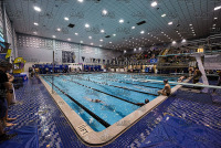 NE10SwimChamps_Assumption_20220219_CM2_1087.jpg Northeast 10 Swimming Championships Day 3 Adelphi,Adelphi Panthers,Assumption,Assumption Greyhounds,Clarus Studios,DII,New England,