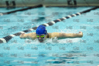 NE10SwimChamps_Assumption_20220219_CS3_0223.jpg Northeast 10 Swimming Championships Day 3 Adelphi,Adelphi Panthers,Assumption,Assumption Greyhounds,Clarus Studios,DII,New England,