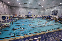 NE10SwimChamps_Assumption_20220219_CM2_1085.jpg Northeast 10 Swimming Championships Day 3 Adelphi,Adelphi Panthers,Assumption,Assumption Greyhounds,Clarus Studios,DII,New England,