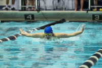NE10SwimChamps_Assumption_20220219_CS3_0208.jpg Northeast 10 Swimming Championships Day 3 Adelphi,Adelphi Panthers,Assumption,Assumption Greyhounds,Clarus Studios,DII,New England,