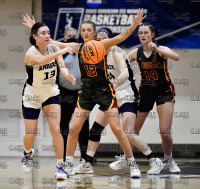 Amherst_vs_StJohnFisher_WBB_NCAA2ndRound_20220305_7486.jpg 03/05/2022 - Amherst vs St John Fisher Womens Basketball - NCAA DIII 2nd Round 70-200mm f/2.8G VR II,D850,www.mikeorazzi.com,Â©Mike Orazzi,