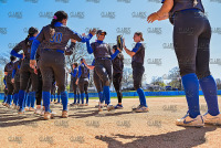 NewHaven_Softball_vs_StAnselm_20220429_CM4_3476.jpg 04/29/2022 - New Haven Softball vs St Anselm Clarus Studios,DII,Hawks,NCAA Chargers,NE10,New England,New Haven,New Haven Chargers,Northeast10,St. Anselm,UNH,University of New Haven,softball,