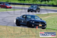 track_night_orazzi_4579.jpg 08/11/2022 - TNiA Lime Rock Park Connecticut,D500,Lakeville,Limerock Park,Track Night,racing,www.mikeorazzi.com,Â©Mike Orazzi,