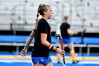 220927_orazzi_unh_field_hockey_6433.jpg 09/27/2022 - New Haven Field Hockey vs Pace Mike Orazzi,www.mikeorazzi.com,Â©Mike Orazzi,