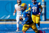 FB__20221015_1300.jpg 10/15/2022 - New Haven Football vs Post 