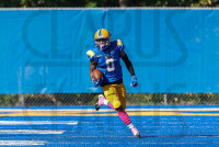 FB__20221015_1244.jpg 10/15/2022 - New Haven Football vs Post 