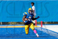 FB__20221015_1263.jpg 10/15/2022 - New Haven Football vs Post 