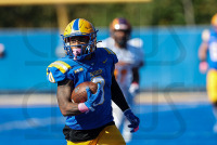 FB__20221015_1324.jpg 10/15/2022 - New Haven Football vs Post 
