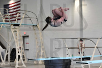 221210_orazzi_conn_swim_9816.jpg 12/10/2022 - Conn College Swimming Mike Orazzi,www.mikeorazzi.com,Â©Mike Orazzi,