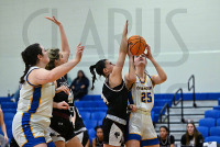 NewHavenWBB_vs_FranklinPierce_20230224_CM0_3282.jpg 02/24/2023 - New Haven Womens Basketball vs Franklin Pierce - NE10 First Round Charge On,Chargers,Clarus Multimedia,Clarus Studios,D2,DII,Franklin Pierce,Get Charged Up,NCAA,NE10,New England,New Haven,New Haven Chargers,Northeast 10,Ravens,