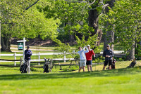 TMHS_Golf_20230517_NI2_5200.jpg 05/17/2023 - TMHS Golf 