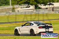 TNiA_TSMP_20230629_CM4_5218.jpg 06/29/2023 - TNiA Thompson Speedway 1.7 Mile Road Course,Clarus Multimedia Group,Clarus Studios,New England,SCCA,SCCATrackNight,TNiA,Thompson Speedway Motorsports Park,Tire Rack,Track Night in America,USA,www.clarusmultimedia.com,www.clarusstudios.com,