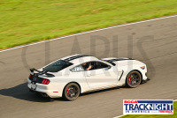 TNiA_TSMP_20230711_CM4_0543.jpg 07/11/2023 - TNiA Thompson Speedway 1.7 Mile Road Course,Clarus Multimedia Group,Clarus Studios,New England,SCCA,SCCATrackNight,TNiA,Thompson Speedway Motorsports Park,Tire Rack,Track Night in America,USA,www.clarusmultimedia.com,www.clarusstudios.com,