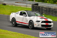TNiA_Thompson_20230810_CM0_2547.jpg 08/10/2023 - TNiA Thompson Speedway 1.7 Mile Road Course,Clarus Multimedia Group,Clarus Studios,New England,SCCA,SCCATrackNight,TNiA,Thompson Speedway Motorsports Park,Tire Rack,Track Night in America,USA,www.clarusmultimedia.com,www.clarusstudios.com,