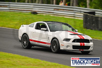 TNiA_Thompson_20230810_CM0_2546.jpg 08/10/2023 - TNiA Thompson Speedway 1.7 Mile Road Course,Clarus Multimedia Group,Clarus Studios,New England,SCCA,SCCATrackNight,TNiA,Thompson Speedway Motorsports Park,Tire Rack,Track Night in America,USA,www.clarusmultimedia.com,www.clarusstudios.com,
