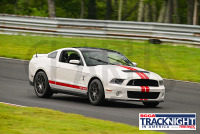 TNiA_Thompson_20230810_CM0_2544.jpg 08/10/2023 - TNiA Thompson Speedway 1.7 Mile Road Course,Clarus Multimedia Group,Clarus Studios,New England,SCCA,SCCATrackNight,TNiA,Thompson Speedway Motorsports Park,Tire Rack,Track Night in America,USA,www.clarusmultimedia.com,www.clarusstudios.com,