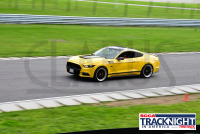 230817_orazzi_6157_(1).jpg 08/17/2023 - TNiA Lime Rock Park www.mikeorazzi.com,Â©Mike Orazzi,