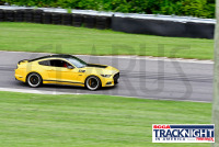 230817_orazzi_7377.jpg 08/17/2023 - TNiA Lime Rock Park www.mikeorazzi.com,Â©Mike Orazzi,