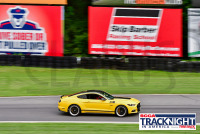 230817_orazzi_8193_(1).jpg 08/17/2023 - TNiA Lime Rock Park www.mikeorazzi.com,Â©Mike Orazzi,