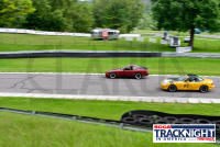 230817_orazzi_6438_(2).jpg 08/17/2023 - TNiA Lime Rock Park www.mikeorazzi.com,Â©Mike Orazzi,
