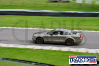 230817_orazzi_6543.jpg 08/17/2023 - TNiA Lime Rock Park www.mikeorazzi.com,Â©Mike Orazzi,