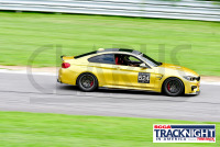 230817_orazzi_8296.jpg 08/17/2023 - TNiA Lime Rock Park www.mikeorazzi.com,Â©Mike Orazzi,