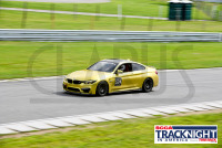 230817_orazzi_7462.jpg 08/17/2023 - TNiA Lime Rock Park www.mikeorazzi.com,Â©Mike Orazzi,