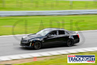 230817_orazzi_7548.jpg 08/17/2023 - TNiA Lime Rock Park www.mikeorazzi.com,Â©Mike Orazzi,